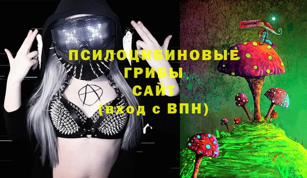 винт Алексеевка