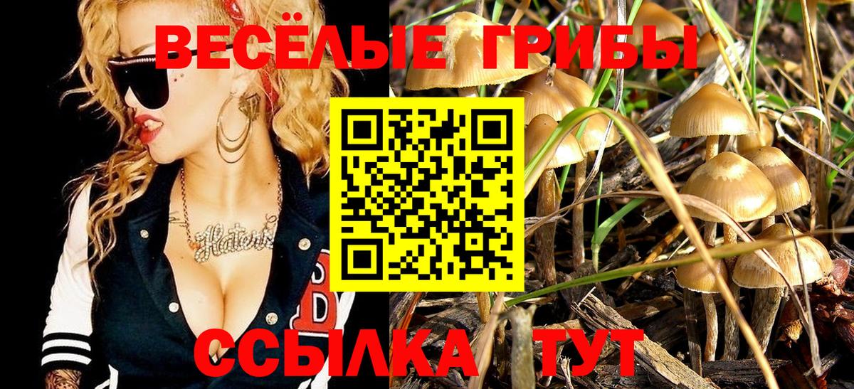 Псилоцибиновые грибы MAGIC MUSHROOMS Заинск
