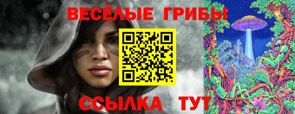 Заинск  Галлюциногенные грибы GOLDEN TEACHER  Вход с VPN 